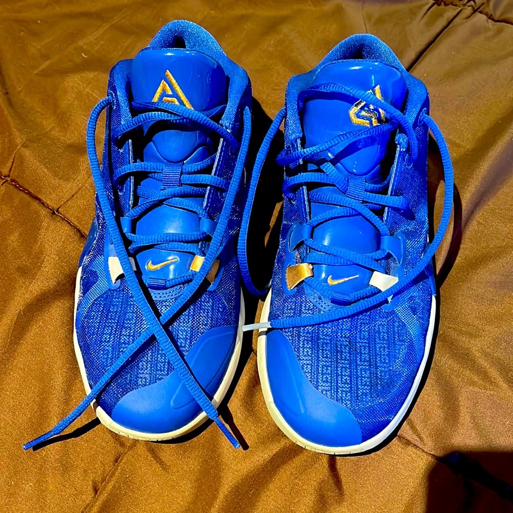Giannis Antetokounmpo Nike Shoes, gently used like new, blue, size 6.5 Youth
